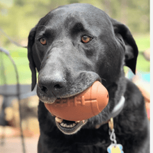 Load image into Gallery viewer, Dog Treat Dispensers