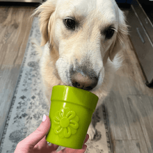 Load image into Gallery viewer, Dog Treat Dispensers