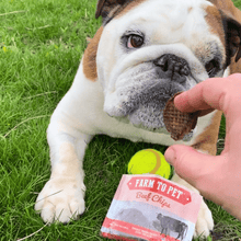 Load image into Gallery viewer, Beef Chips Snack Pack Bundles | Dog Treats for Training &amp; Travel