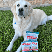 Load image into Gallery viewer, Fish Chips Snack Pack Bundles | Dog Treats for Training &amp; Travel