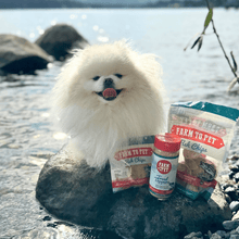 Load image into Gallery viewer, Treat Topper Fish Dog Food Topper | Low-Fat Meal Topper for Pets