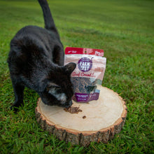 Load image into Gallery viewer, Beef Crumbles Cat Treats | High Protein Treats for Cats