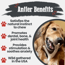 Load image into Gallery viewer, Deer Antler Dog Chews | Organic Chews for Dogs