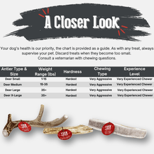 Load image into Gallery viewer, Deer Antler Dog Chews | Organic Chews for Dogs