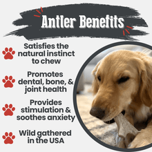 Load image into Gallery viewer, Deer Antler Dog Chews | Organic Chews for Dogs