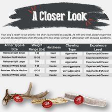 Load image into Gallery viewer, Reindeer Antler Dog Chews | Organic Chews for Dogs