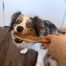 Load image into Gallery viewer, Reindeer Antler Dog Chews | Organic Chews for Dogs