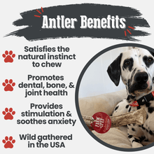 Load image into Gallery viewer, Reindeer Antler Dog Chews | Organic Chews for Dogs