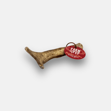 Load image into Gallery viewer, Reindeer Antler Dog Chews | Organic Chews for Dogs