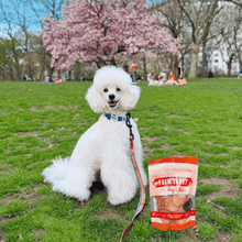 Load image into Gallery viewer, Turkey Chips for Dogs | All-Natural Single-Ingredient Healthy Dog Treats