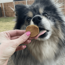 Load image into Gallery viewer, Fish Chips for Dogs | Wild-Caught Fish Dog Treats