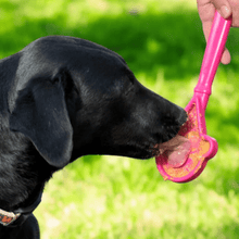 Load image into Gallery viewer, Lick Sticks | Interactive Dog Training Toy