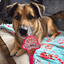 Load image into Gallery viewer, Lick Sticks | Interactive Dog Training Toy