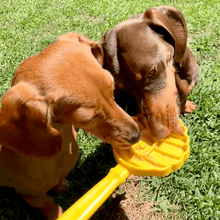 Load image into Gallery viewer, Lick Sticks | Interactive Dog Training Toy