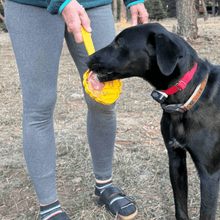 Load image into Gallery viewer, Lick Sticks | Interactive Dog Training Toy