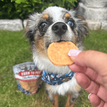 Load image into Gallery viewer, Americana Chicken Chips for Dogs | Celebrate with USA-made Dog Treats