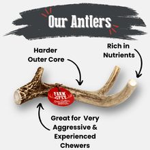 Load image into Gallery viewer, Deer Antler Dog Chews | Organic Chews for Dogs
