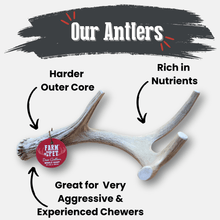 Load image into Gallery viewer, Deer Antler Dog Chews | Organic Chews for Dogs