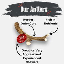 Load image into Gallery viewer, Deer Antler Dog Chews | Organic Chews for Dogs