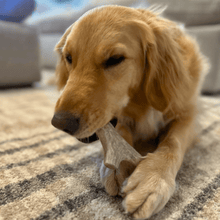 Load image into Gallery viewer, Deer Antler Dog Chews | Organic Chews for Dogs