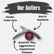 Load image into Gallery viewer, Deer Antler Dog Chews | Organic Chews for Dogs