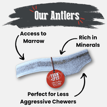 Load image into Gallery viewer, Elk Antler Dog Chews | All-Natural Whole and Split Elk Antler Chews for Dogs