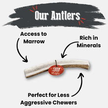 Load image into Gallery viewer, Elk Antler Dog Chews | All-Natural Whole and Split Elk Antler Chews for Dogs