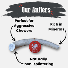Load image into Gallery viewer, Elk Antler Dog Chews | All-Natural Whole and Split Elk Antler Chews for Dogs