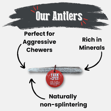 Load image into Gallery viewer, Elk Antler Dog Chews | All-Natural Whole and Split Elk Antler Chews for Dogs