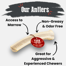Load image into Gallery viewer, Reindeer Antler Dog Chews | Organic Chews for Dogs