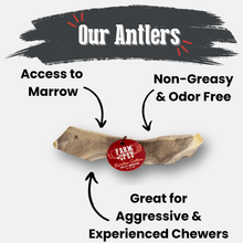 Load image into Gallery viewer, Reindeer Antler Dog Chews | Organic Chews for Dogs