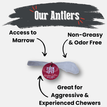 Load image into Gallery viewer, Reindeer Antler Dog Chews | Organic Chews for Dogs