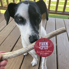 Load image into Gallery viewer, Reindeer Antler Dog Chews | Organic Chews for Dogs