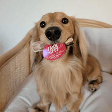 Load image into Gallery viewer, Reindeer Antler Dog Chews | Organic Chews for Dogs