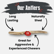 Load image into Gallery viewer, Reindeer Antler Dog Chews | Organic Chews for Dogs
