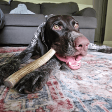Load image into Gallery viewer, Reindeer Antler Dog Chews | Organic Chews for Dogs