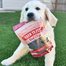 Load image into Gallery viewer, Beef Chips Dog Treats | Single-Ingredient Healthy Treats for Dogs