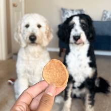 Load image into Gallery viewer, Chicken Chips for Dogs | All-Natural Single-Ingredient Dog Treats