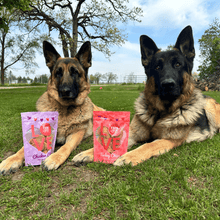 Load image into Gallery viewer, Puppy Love Dog Treat Duo | Poultry Chip Variety Pack