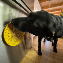 Load image into Gallery viewer, Dog Lick Mats with Suction Cups