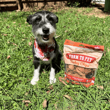 Load image into Gallery viewer, Turkey Chips for Dogs | All-Natural Single-Ingredient Healthy Dog Treats