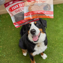 Load image into Gallery viewer, Puppy Packs &#39;n Snacks Dog Treat Starter Pack | Single-Ingredient Training Treats