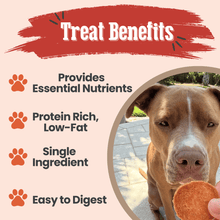 Load image into Gallery viewer, Turkey Chips for Dogs | All-Natural Single-Ingredient Healthy Dog Treats