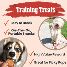 Load image into Gallery viewer, Puppy Packs &#39;n Snacks Dog Treat Starter Pack | Single-Ingredient Training Treats