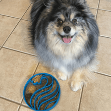 Load image into Gallery viewer, Slow Feeder Dog Bowls