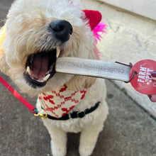 Load image into Gallery viewer, Elk Antler Dog Chews | All-Natural Whole and Split Elk Antler Chews for Dogs