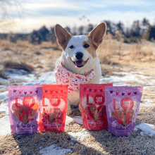 Load image into Gallery viewer, Puppy Love Dog Treat Duo | Poultry Chip Variety Pack