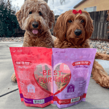 Load image into Gallery viewer, Puppy Love Dog Treat Duo | Poultry Chip Variety Pack