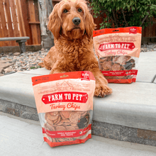Load image into Gallery viewer, Turkey Chips for Dogs | All-Natural Single-Ingredient Healthy Dog Treats