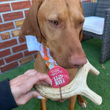 Load image into Gallery viewer, Deer Antler Dog Chews | Organic Chews for Dogs